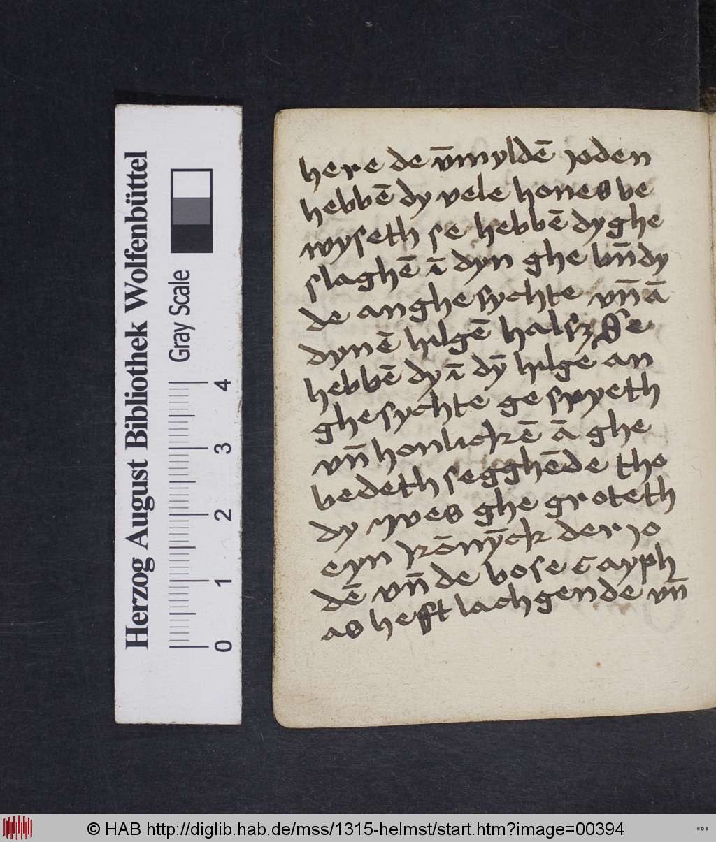 http://diglib.hab.de/mss/1315-helmst/00394.jpg