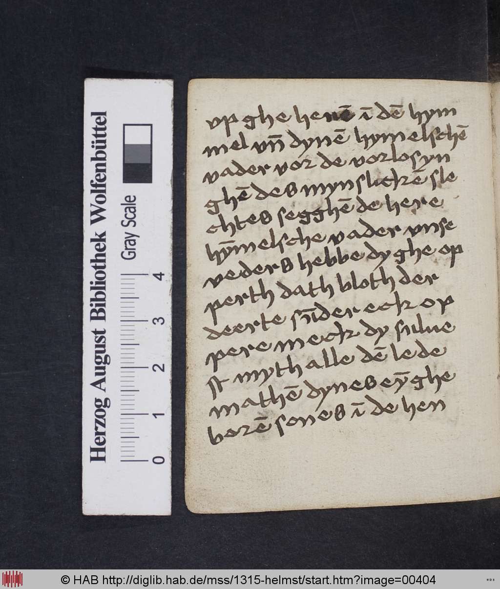 http://diglib.hab.de/mss/1315-helmst/00404.jpg
