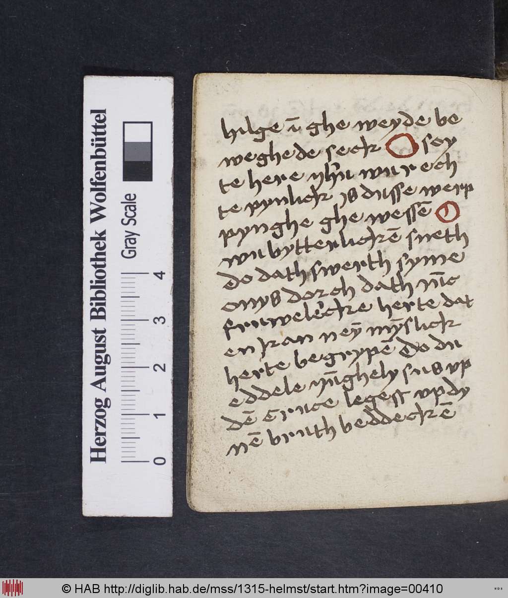 http://diglib.hab.de/mss/1315-helmst/00410.jpg