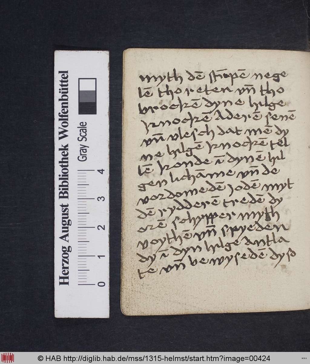 http://diglib.hab.de/mss/1315-helmst/00424.jpg