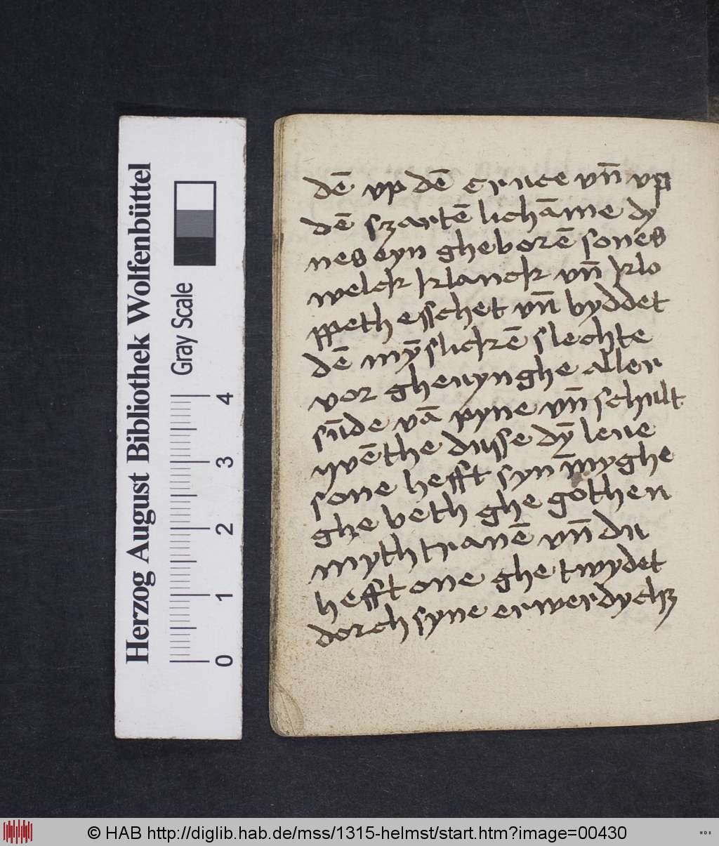 http://diglib.hab.de/mss/1315-helmst/00430.jpg