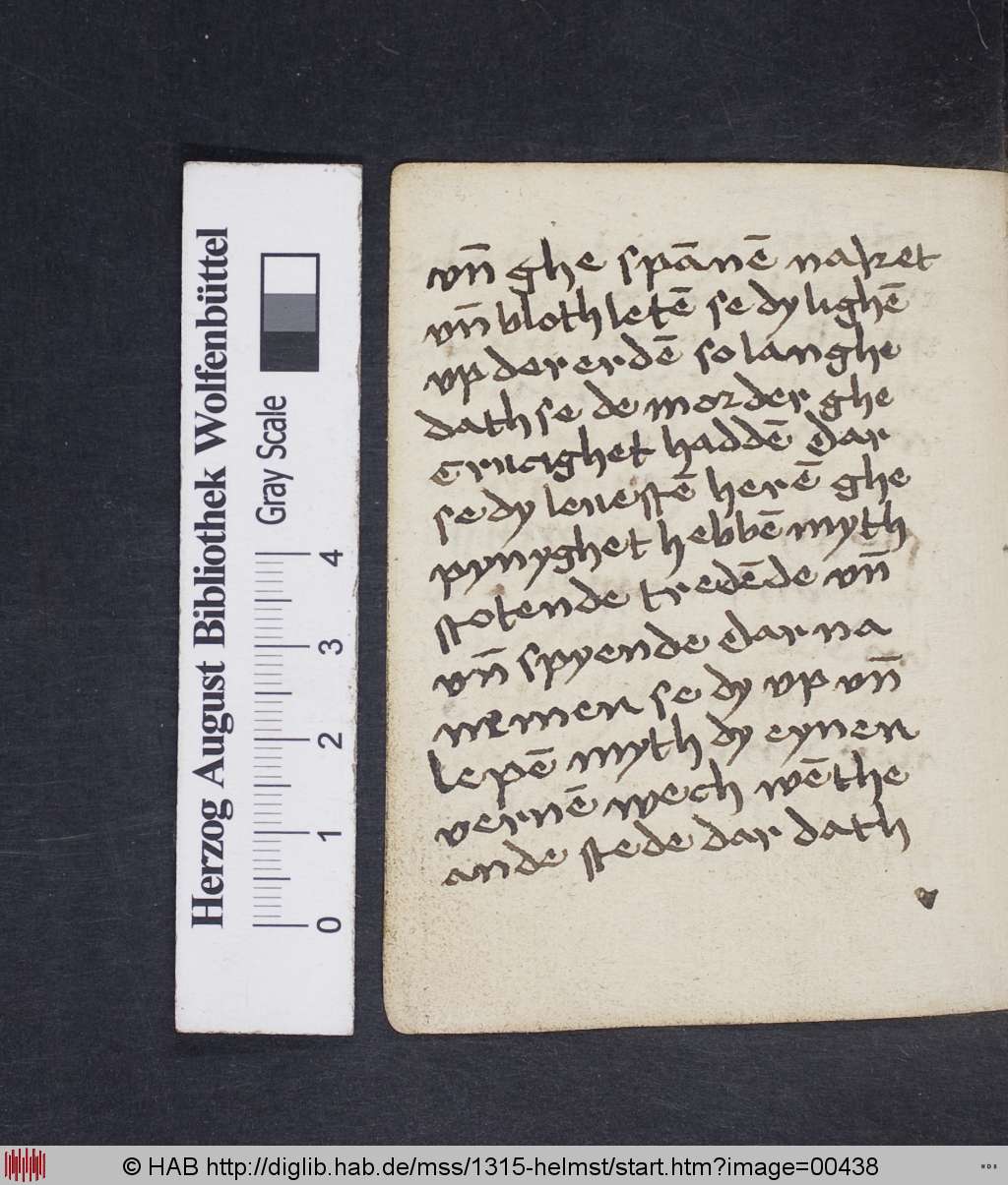 http://diglib.hab.de/mss/1315-helmst/00438.jpg