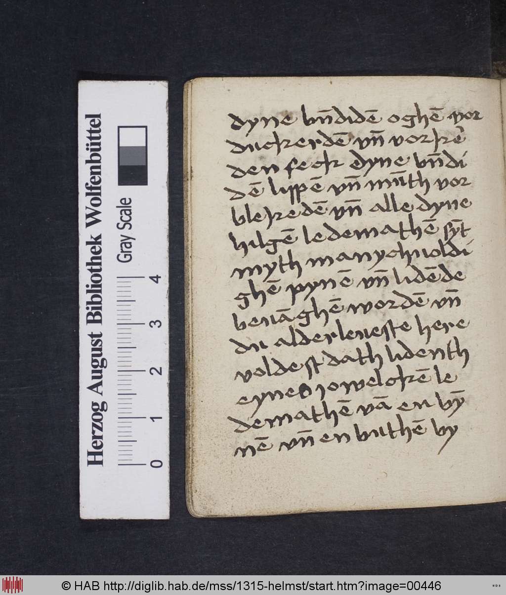 http://diglib.hab.de/mss/1315-helmst/00446.jpg