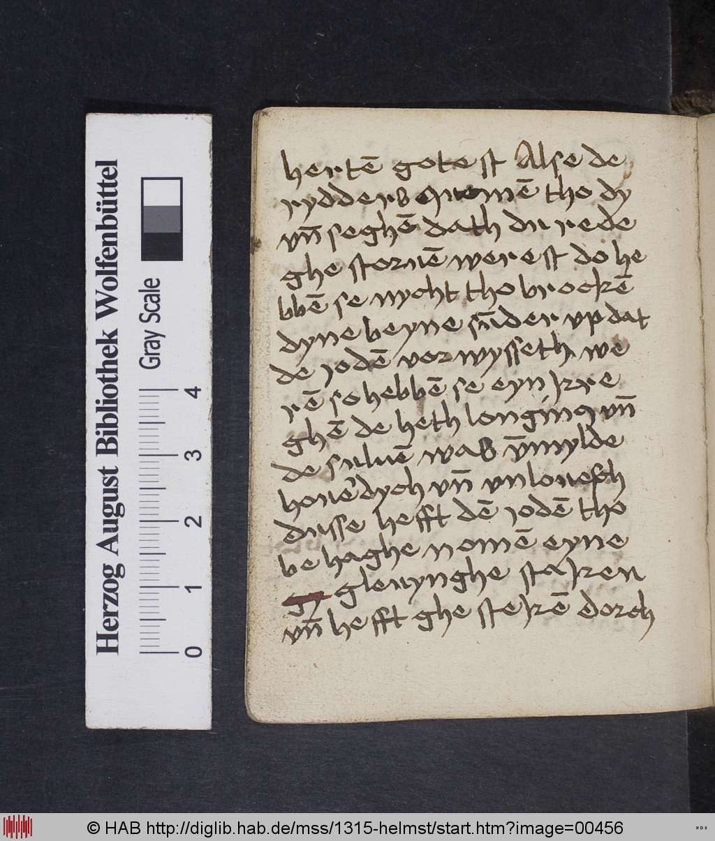 http://diglib.hab.de/mss/1315-helmst/00456.jpg