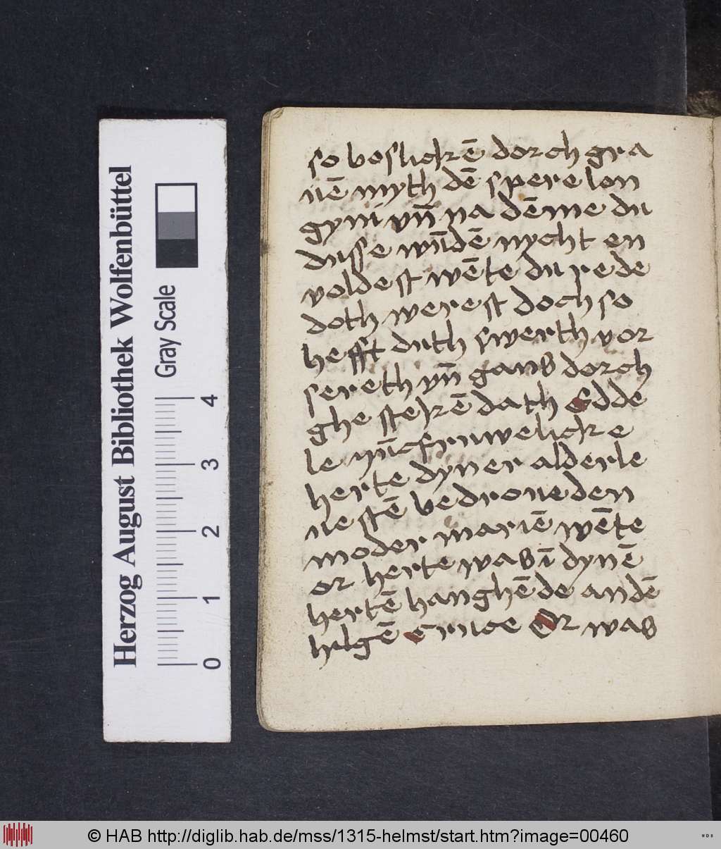http://diglib.hab.de/mss/1315-helmst/00460.jpg