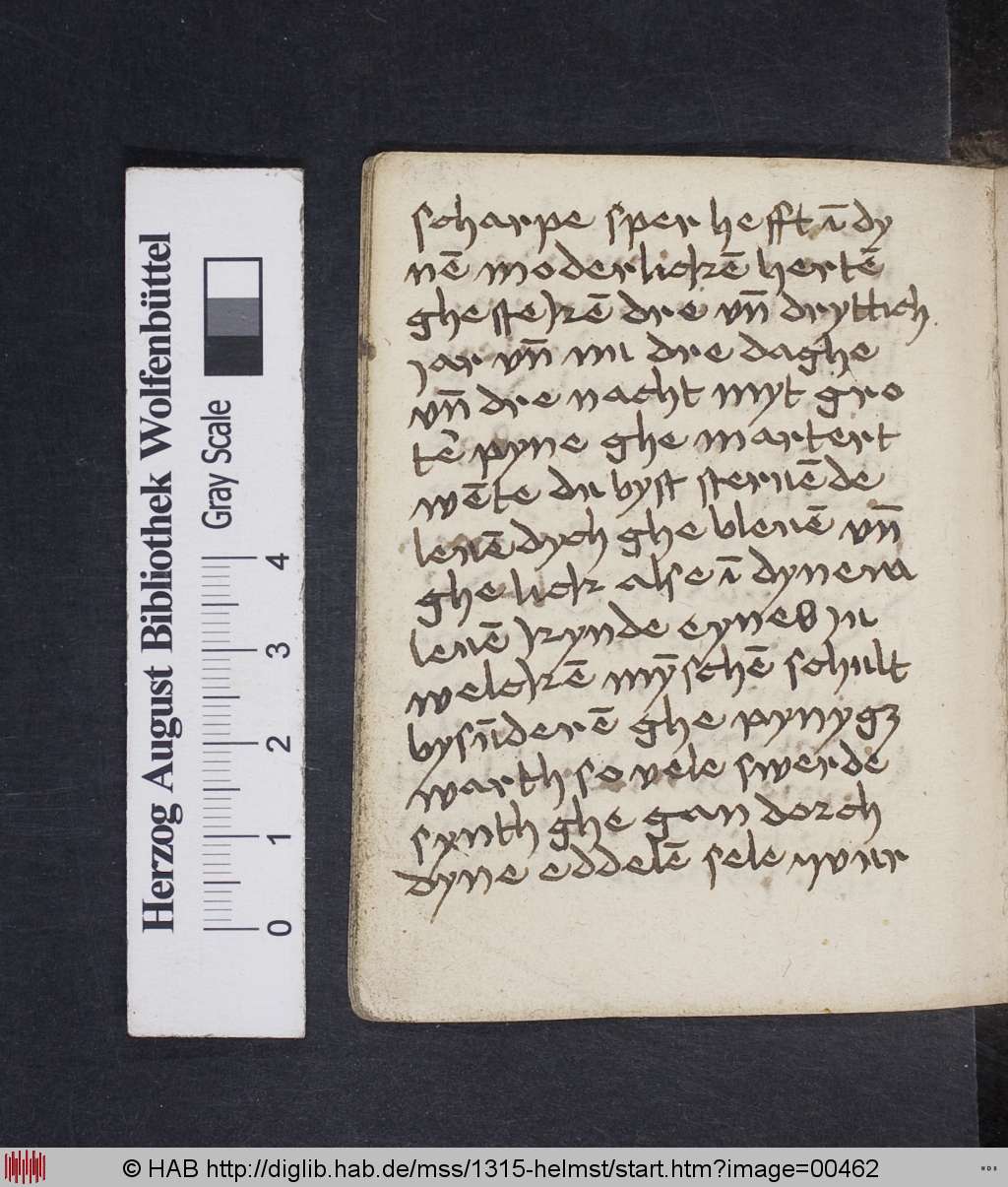 http://diglib.hab.de/mss/1315-helmst/00462.jpg