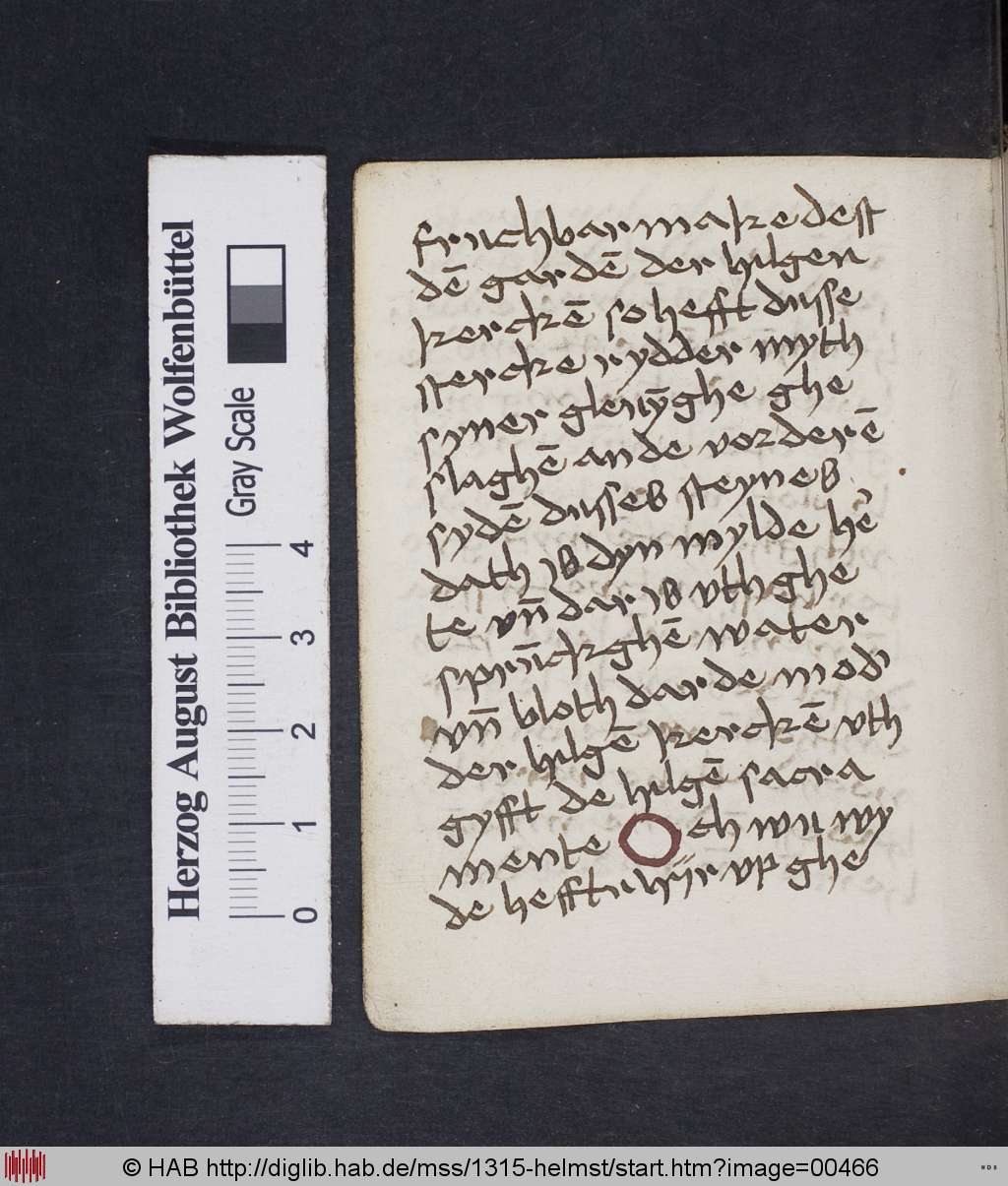 http://diglib.hab.de/mss/1315-helmst/00466.jpg