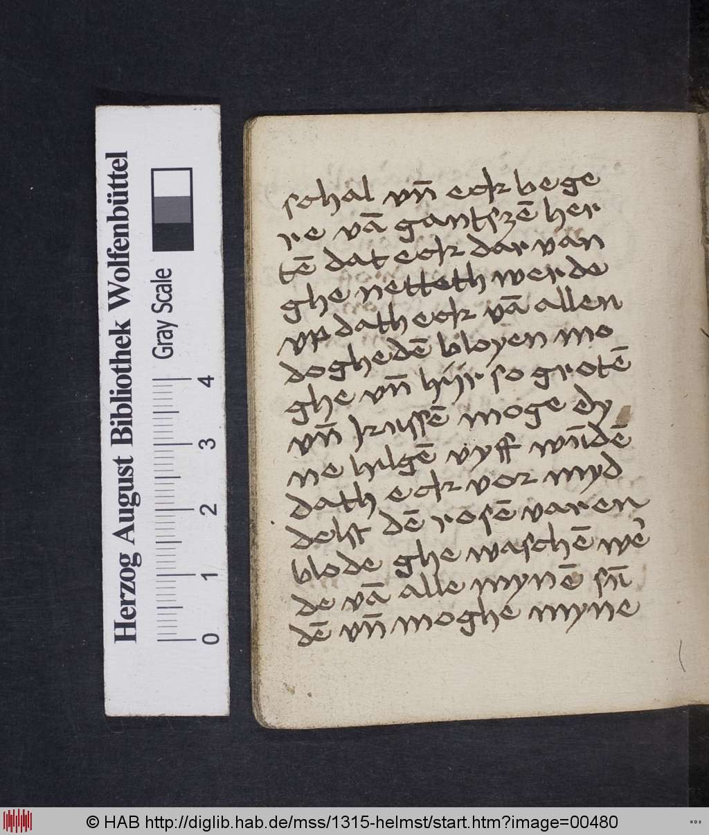 http://diglib.hab.de/mss/1315-helmst/00480.jpg