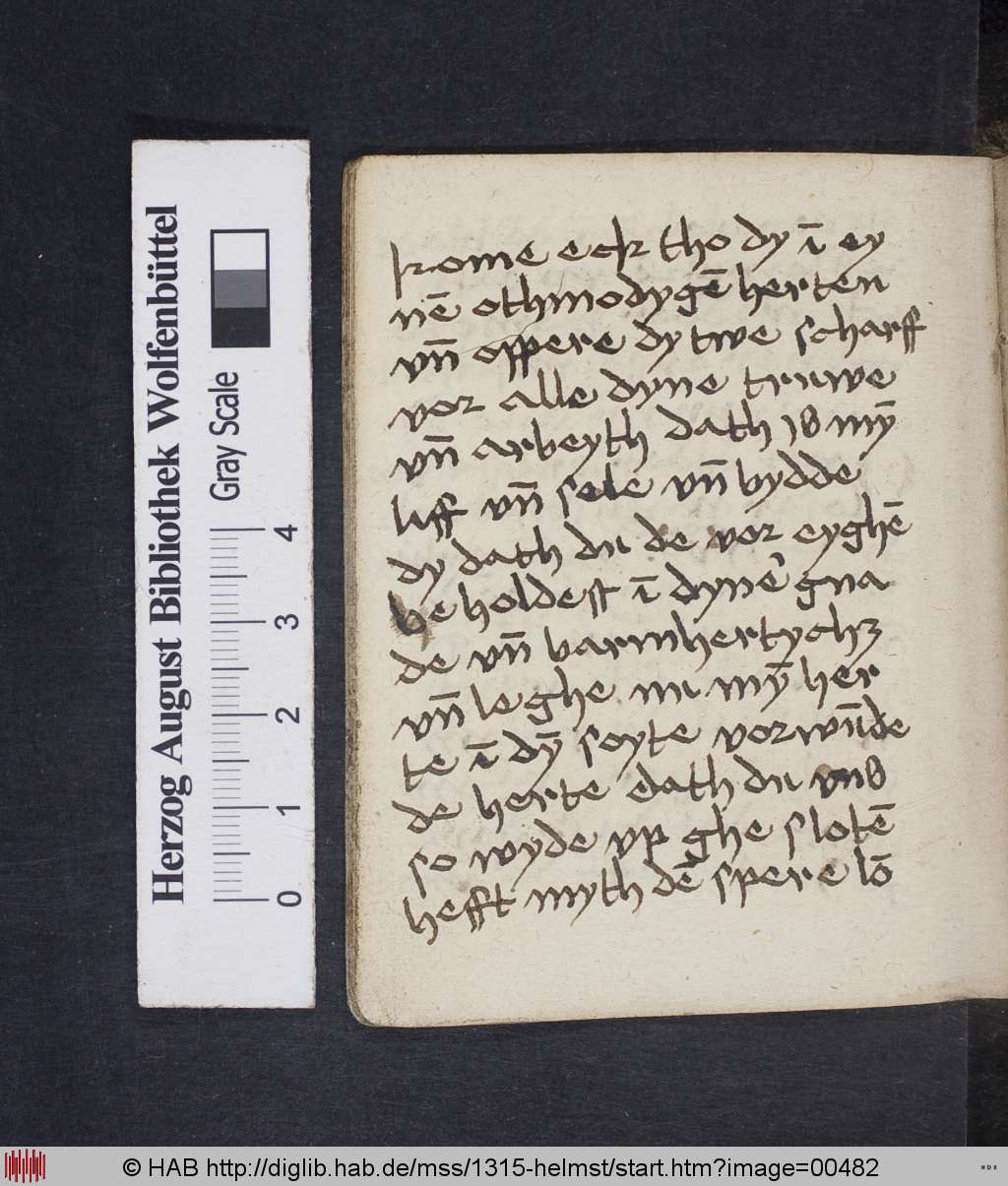 http://diglib.hab.de/mss/1315-helmst/00482.jpg