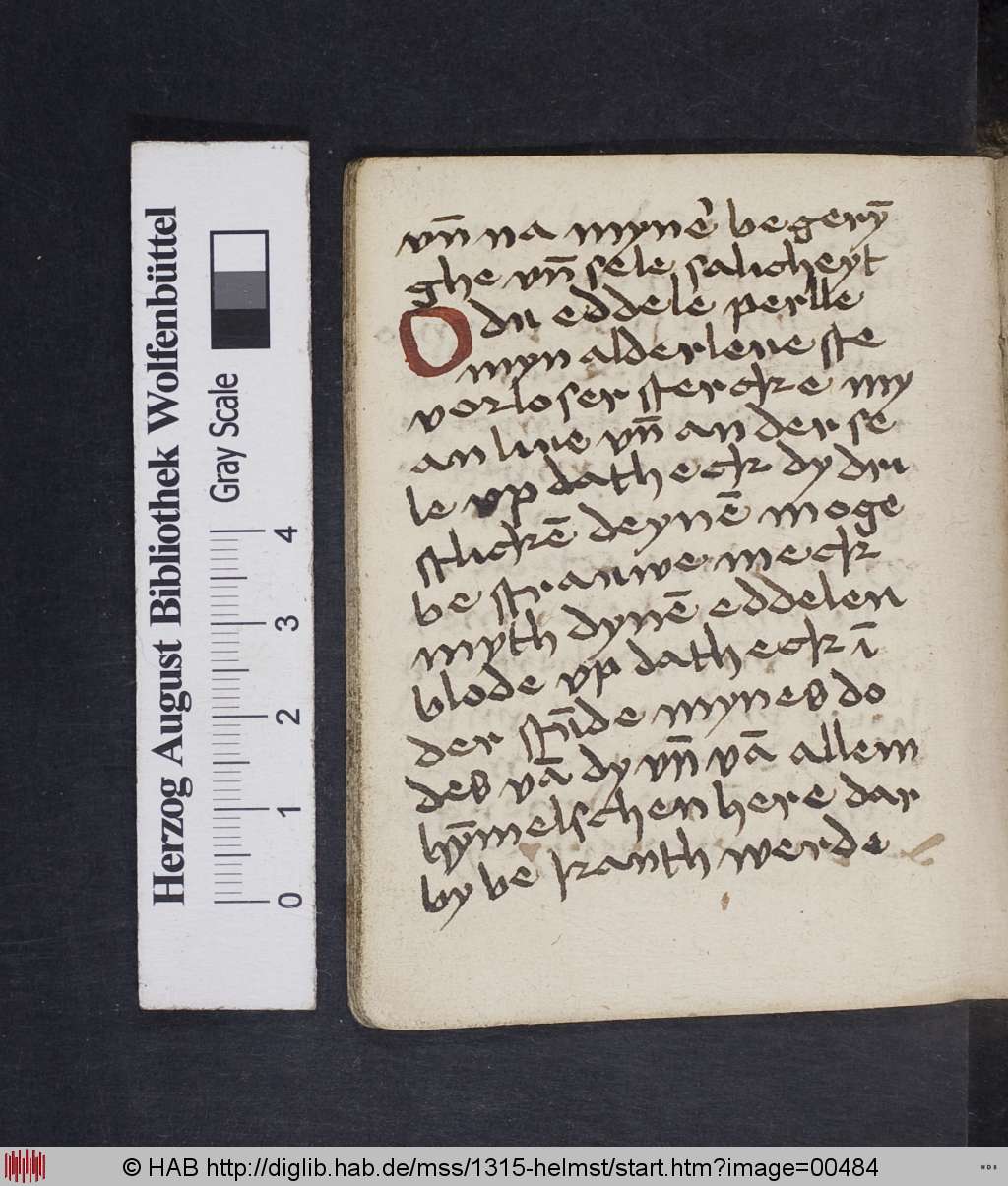 http://diglib.hab.de/mss/1315-helmst/00484.jpg