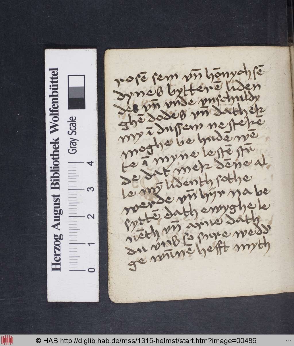 http://diglib.hab.de/mss/1315-helmst/00486.jpg