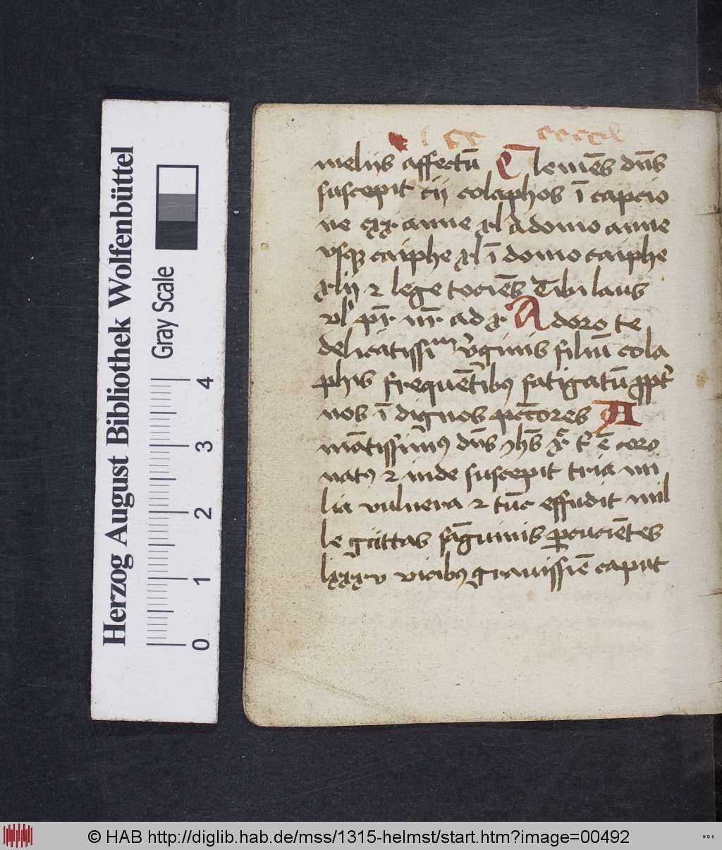 http://diglib.hab.de/mss/1315-helmst/00492.jpg