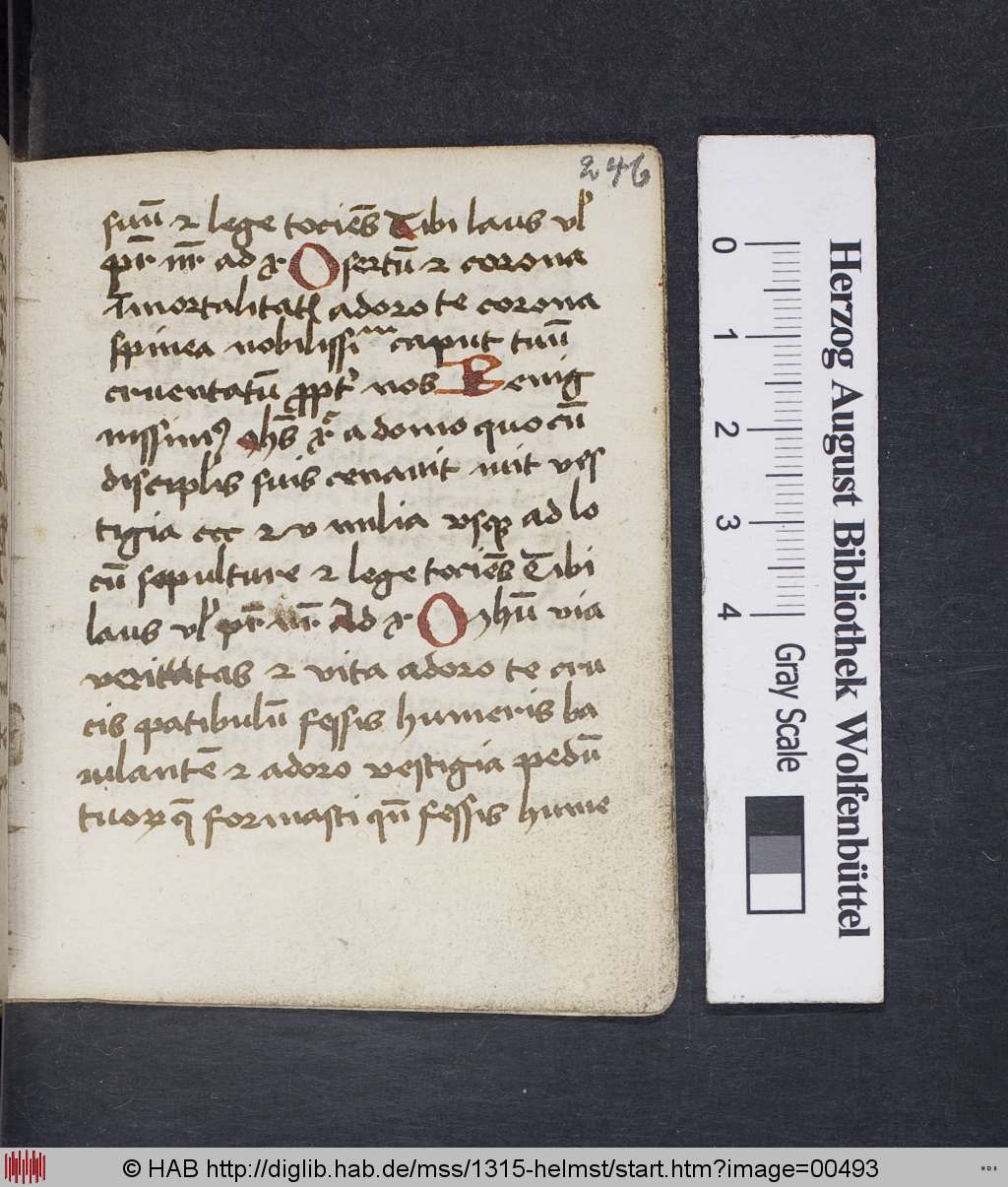 http://diglib.hab.de/mss/1315-helmst/00493.jpg
