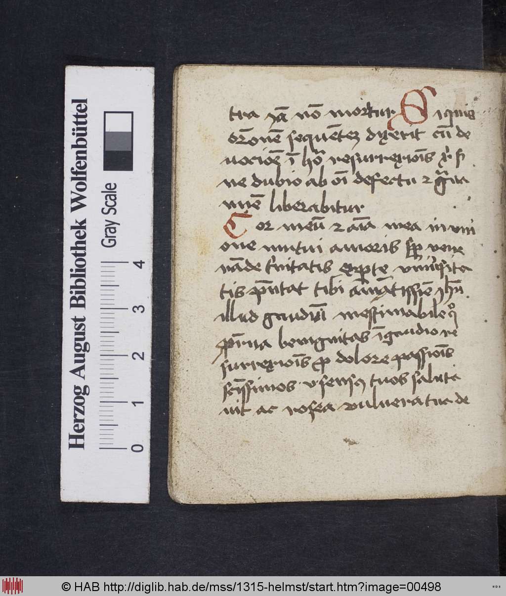 http://diglib.hab.de/mss/1315-helmst/00498.jpg