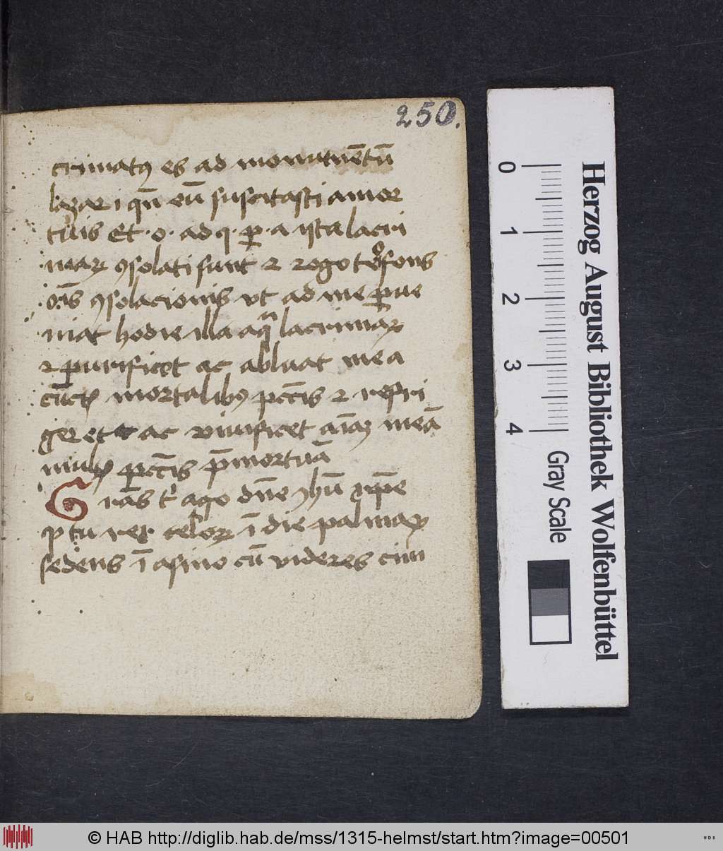 http://diglib.hab.de/mss/1315-helmst/00501.jpg