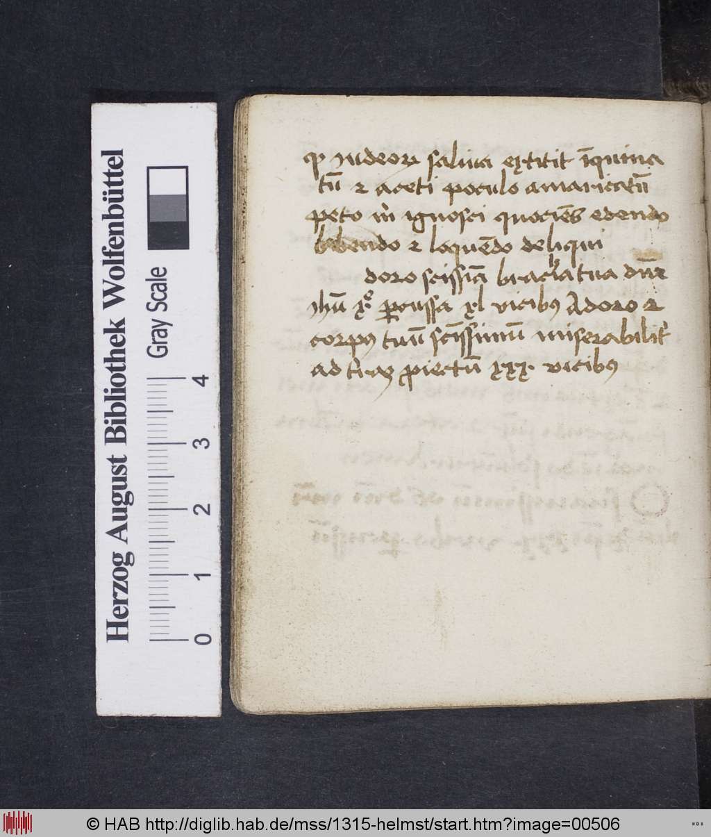 http://diglib.hab.de/mss/1315-helmst/00506.jpg