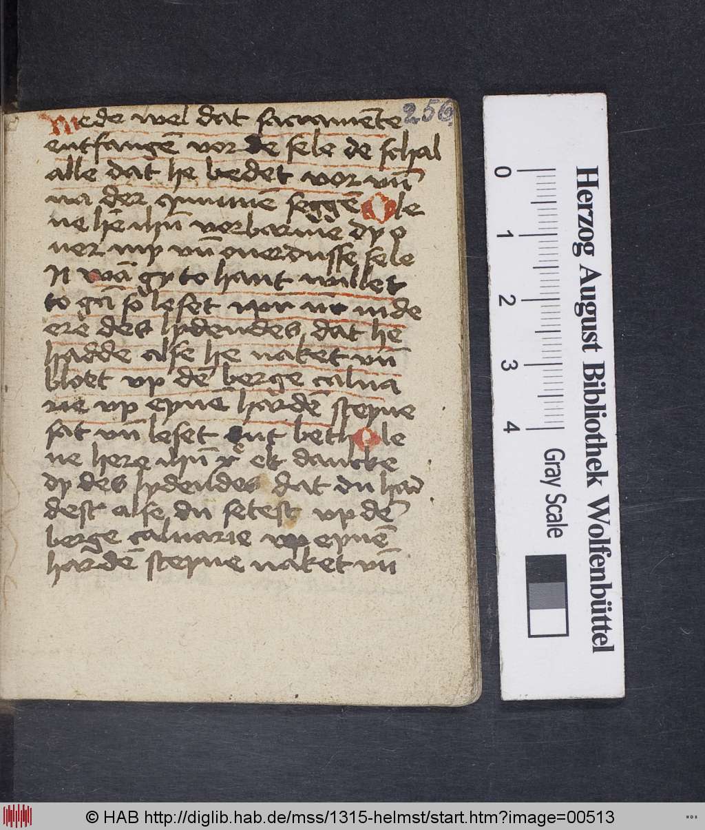 http://diglib.hab.de/mss/1315-helmst/00513.jpg