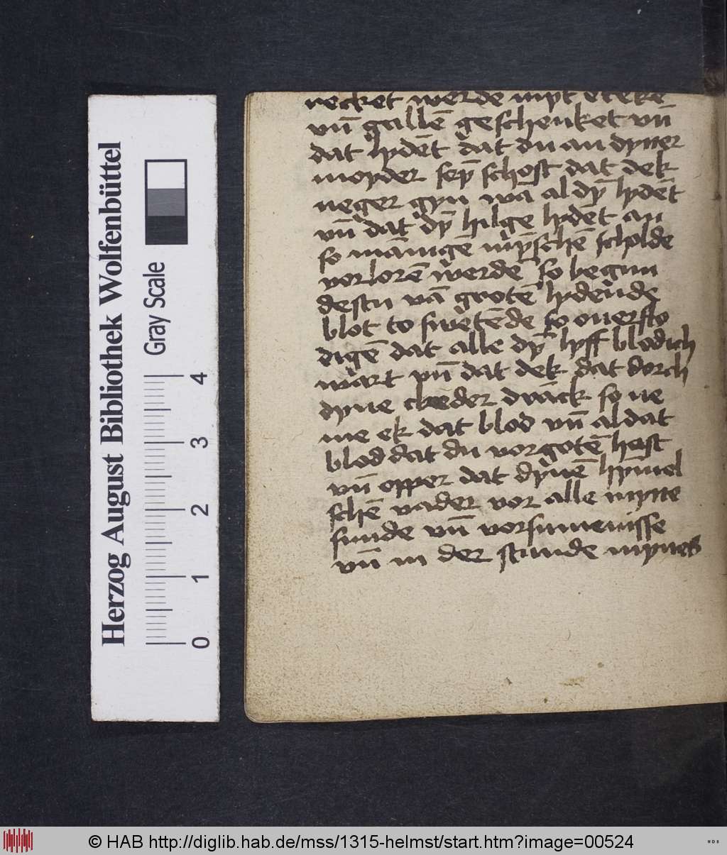 http://diglib.hab.de/mss/1315-helmst/00524.jpg