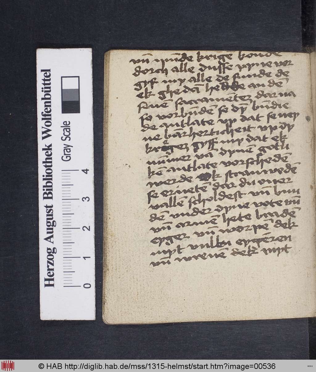 http://diglib.hab.de/mss/1315-helmst/00536.jpg