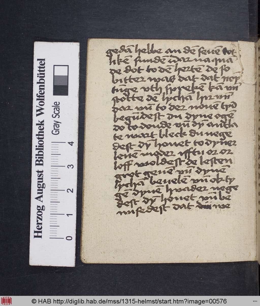http://diglib.hab.de/mss/1315-helmst/00576.jpg