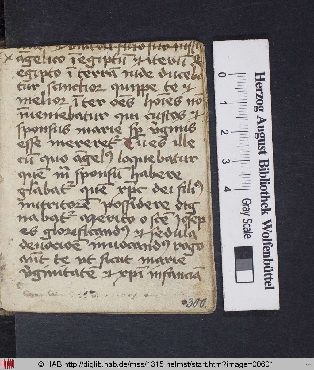 http://diglib.hab.de/mss/1315-helmst/00601.jpg