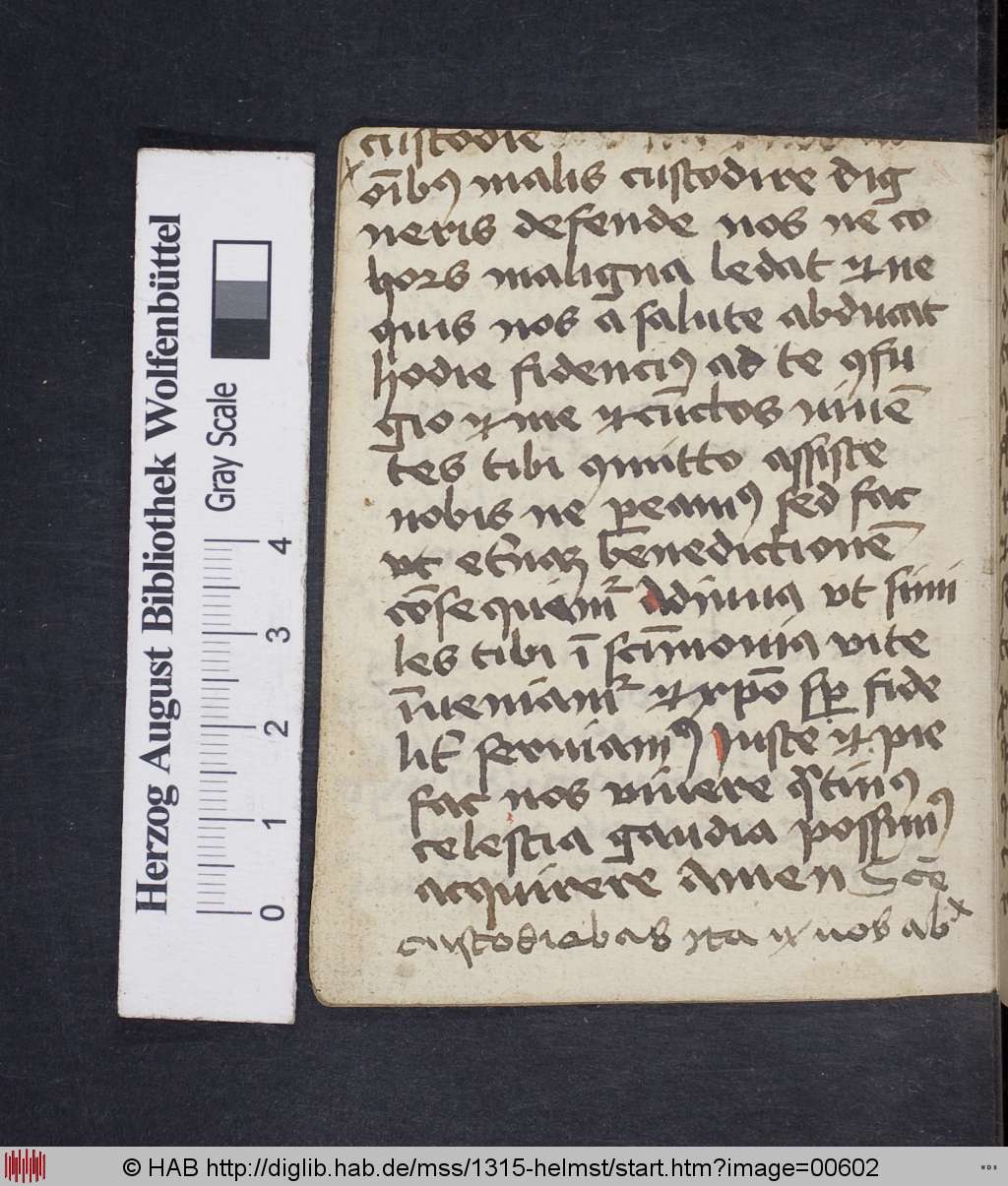 http://diglib.hab.de/mss/1315-helmst/00602.jpg