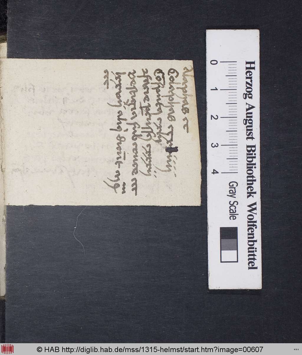 http://diglib.hab.de/mss/1315-helmst/00607.jpg