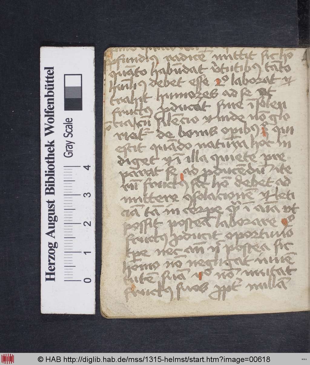 http://diglib.hab.de/mss/1315-helmst/00618.jpg