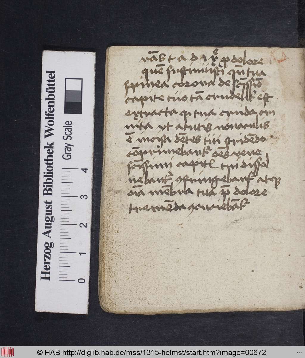 http://diglib.hab.de/mss/1315-helmst/00672.jpg
