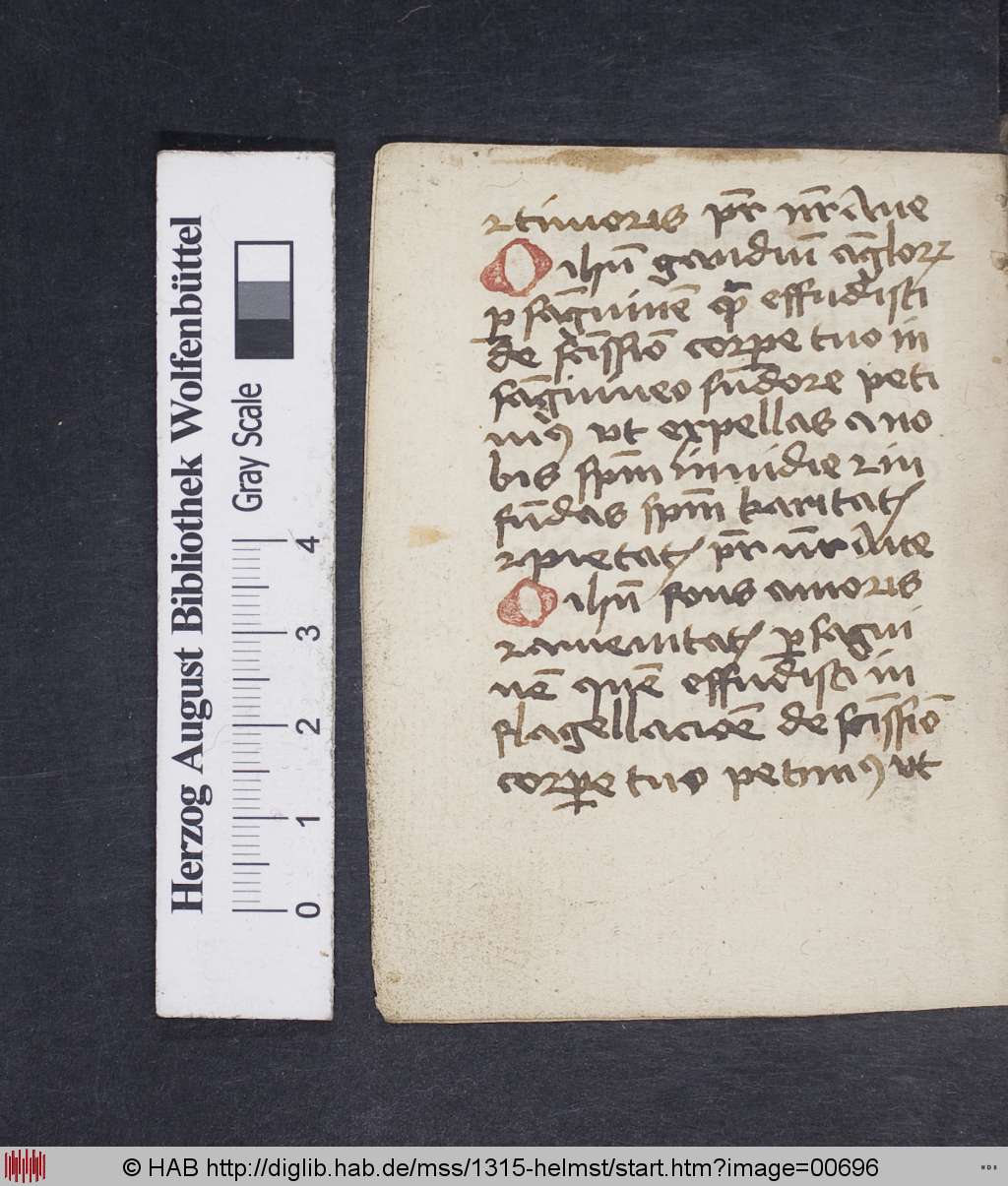 http://diglib.hab.de/mss/1315-helmst/00696.jpg