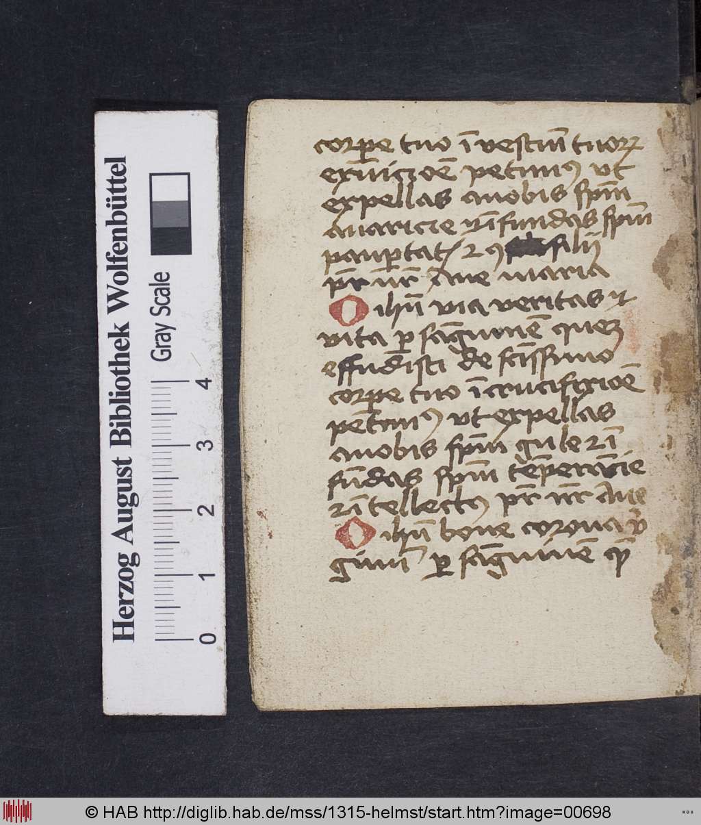 http://diglib.hab.de/mss/1315-helmst/00698.jpg