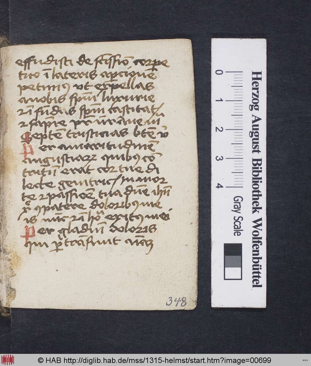 http://diglib.hab.de/mss/1315-helmst/00699.jpg