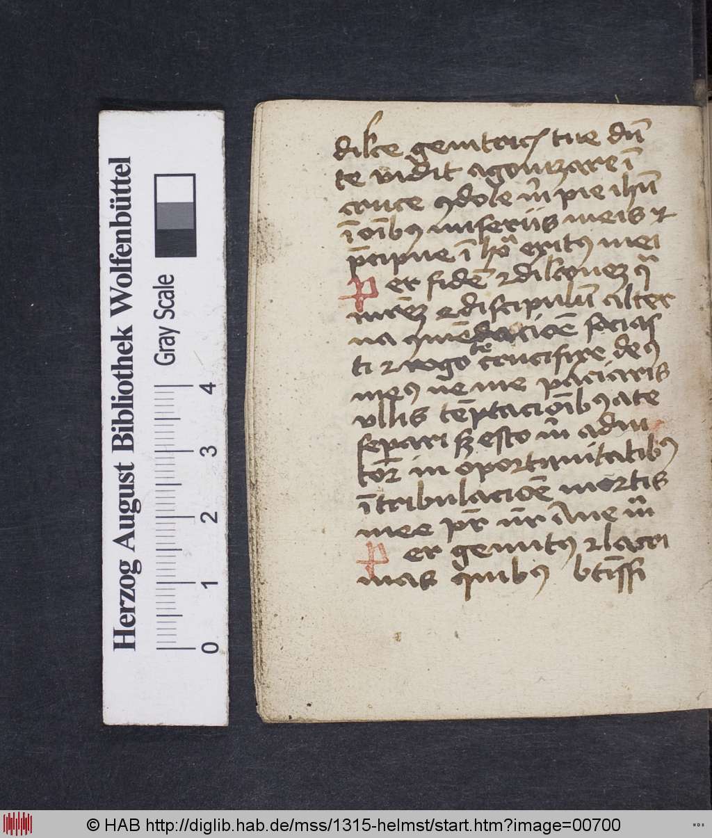 http://diglib.hab.de/mss/1315-helmst/00700.jpg