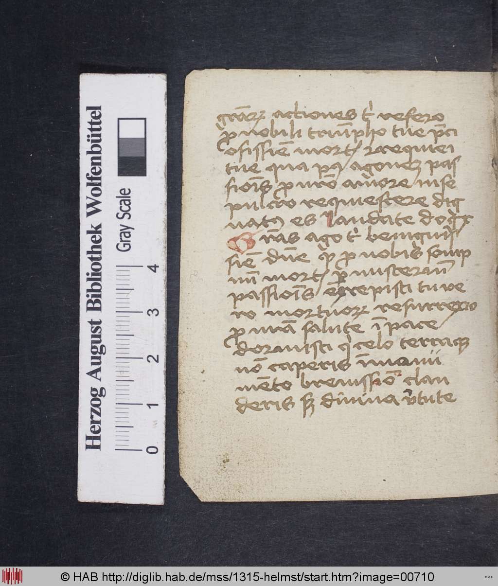 http://diglib.hab.de/mss/1315-helmst/00710.jpg