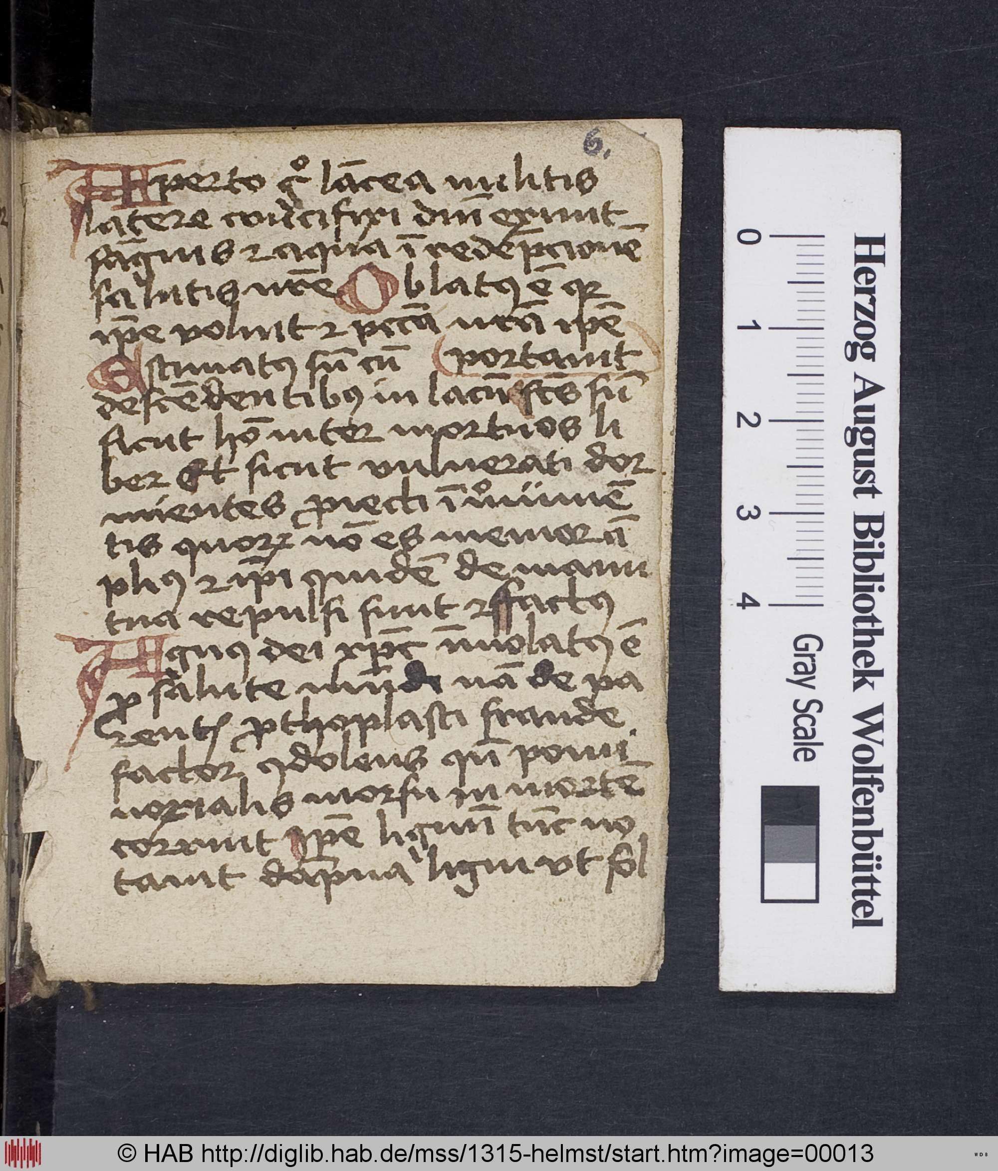 http://diglib.hab.de/mss/1315-helmst/max/00013.jpg