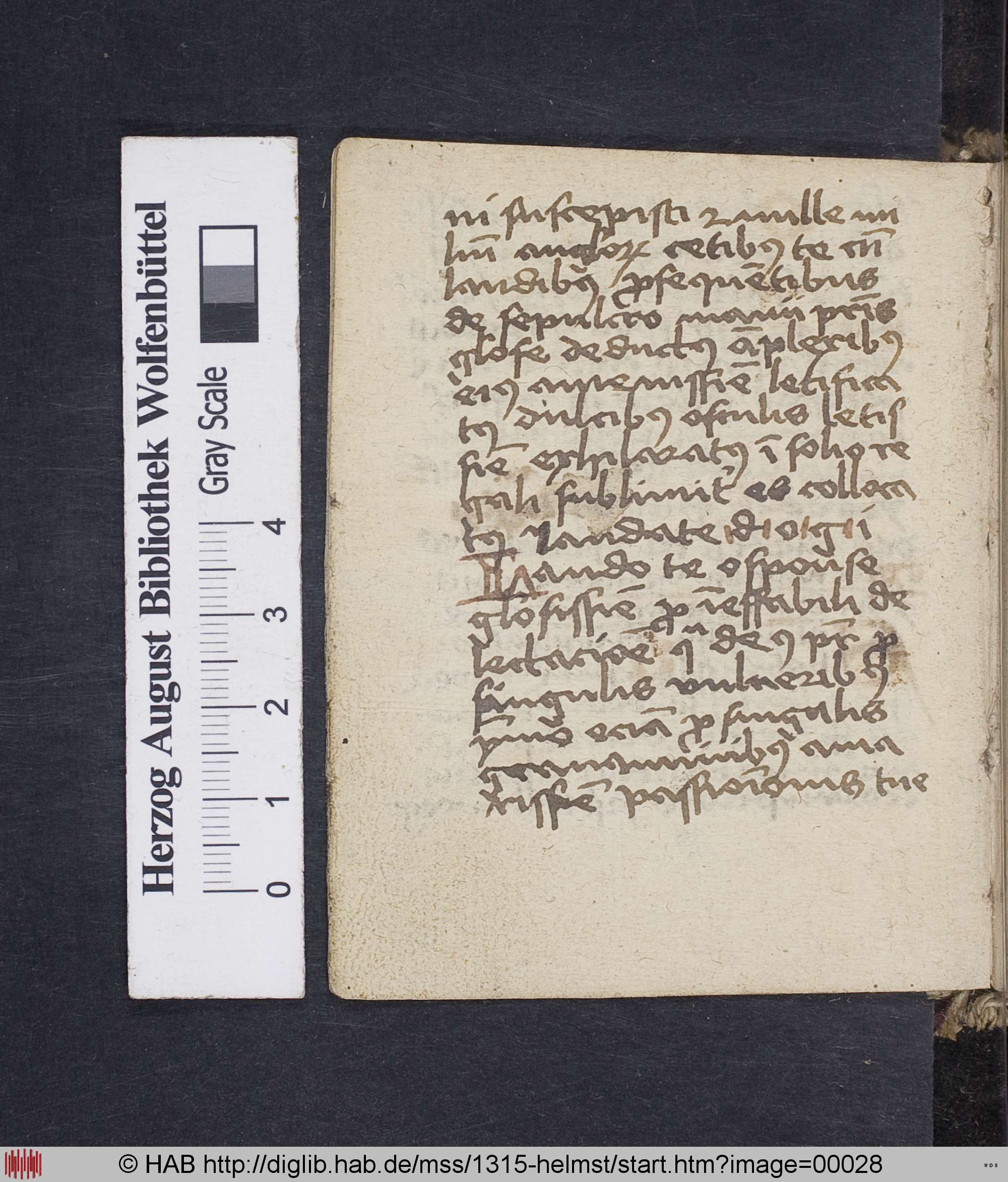 http://diglib.hab.de/mss/1315-helmst/max/00028.jpg