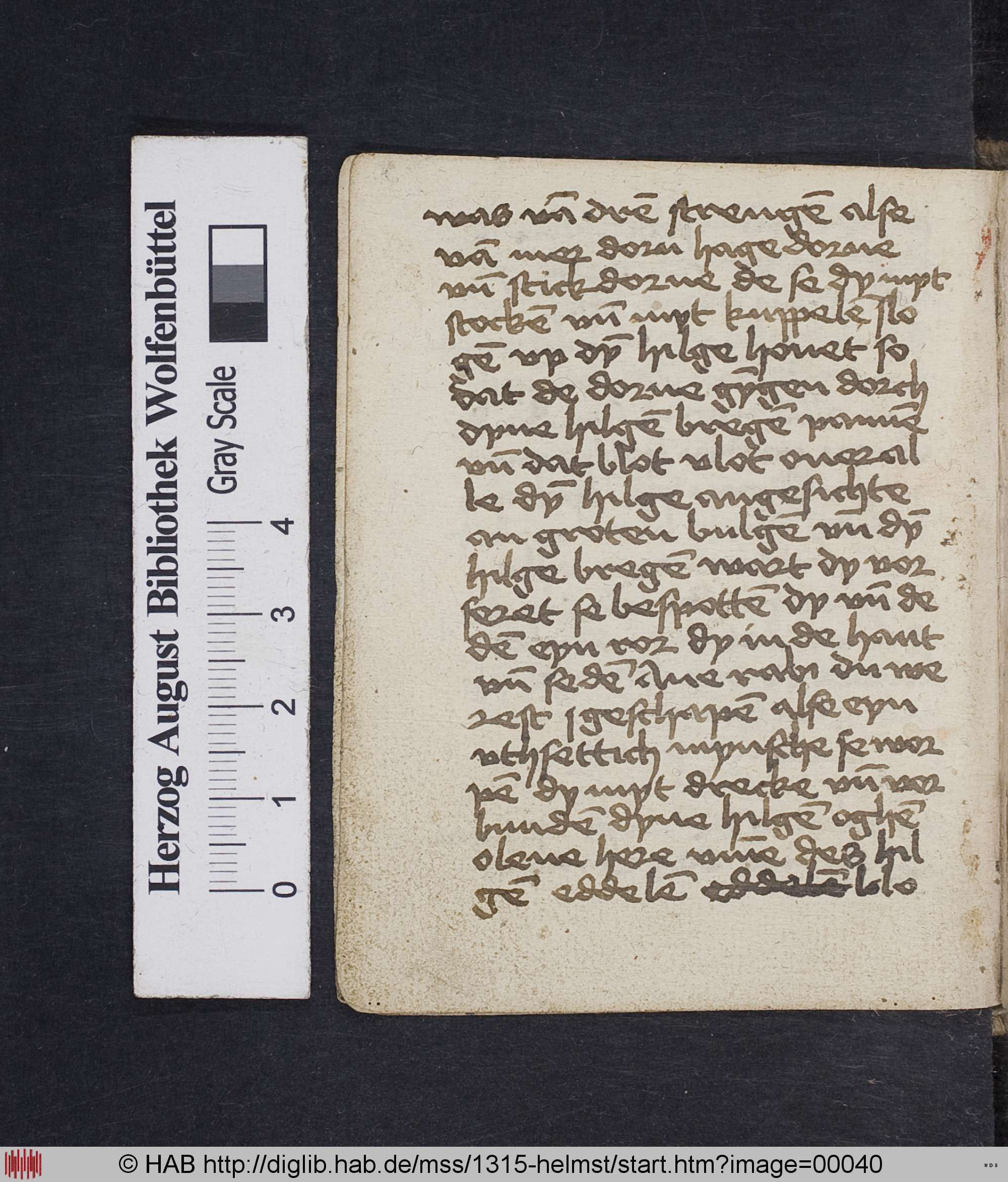 http://diglib.hab.de/mss/1315-helmst/max/00040.jpg