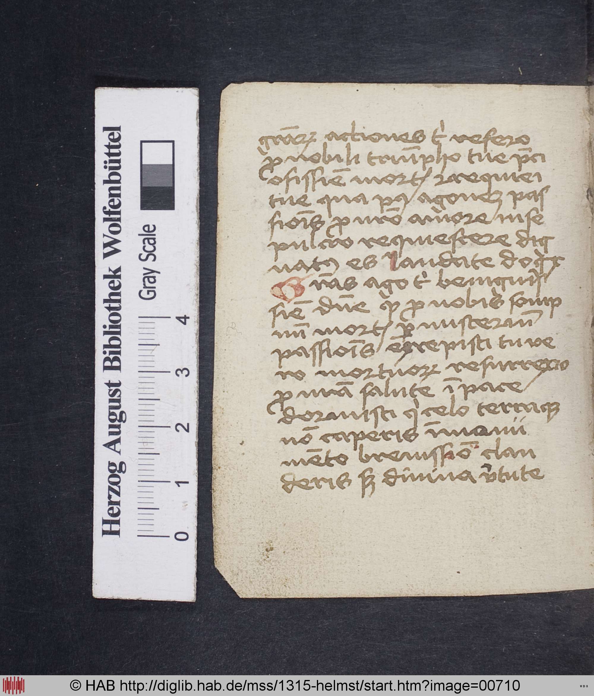 http://diglib.hab.de/mss/1315-helmst/max/00710.jpg