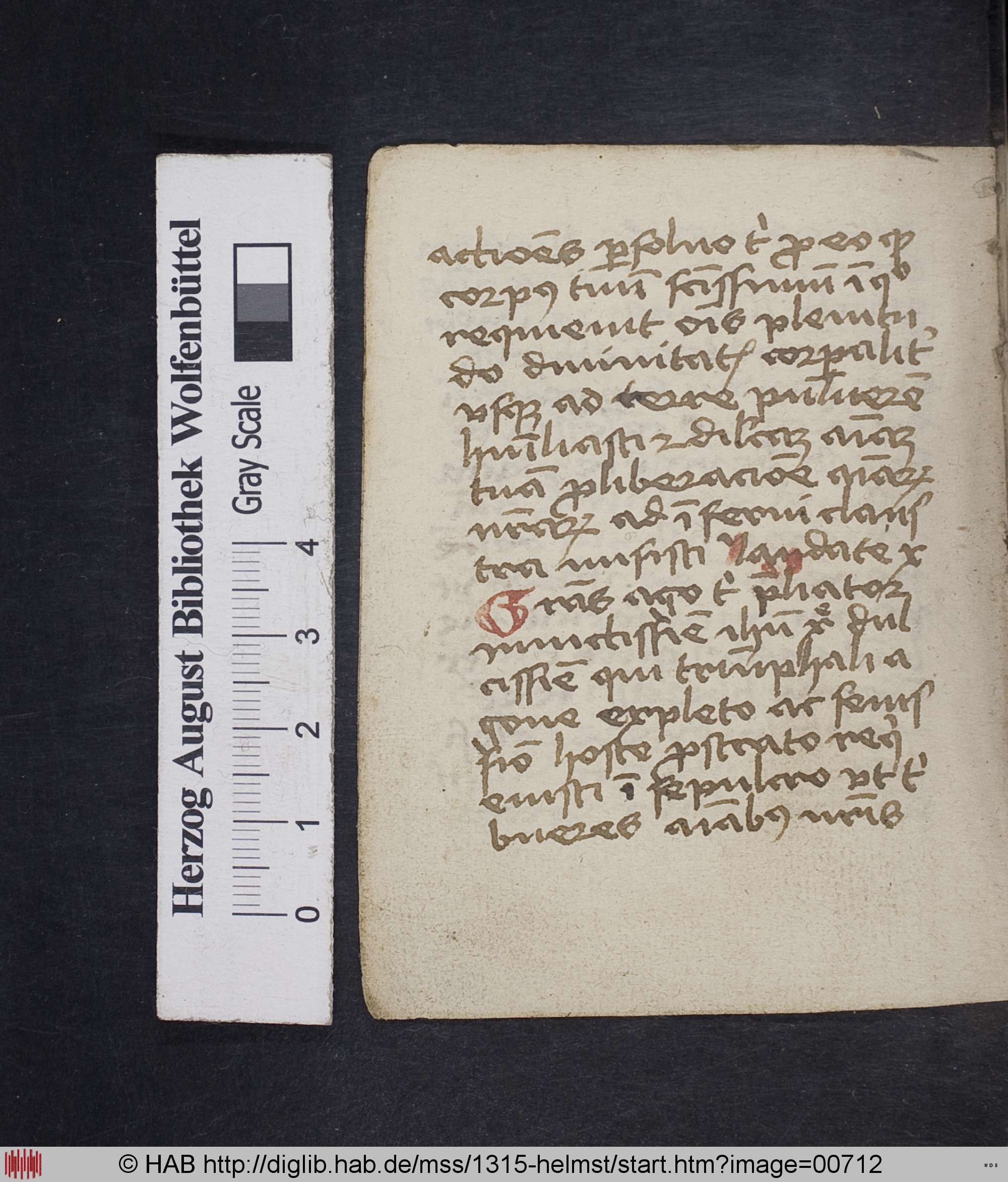 http://diglib.hab.de/mss/1315-helmst/max/00712.jpg