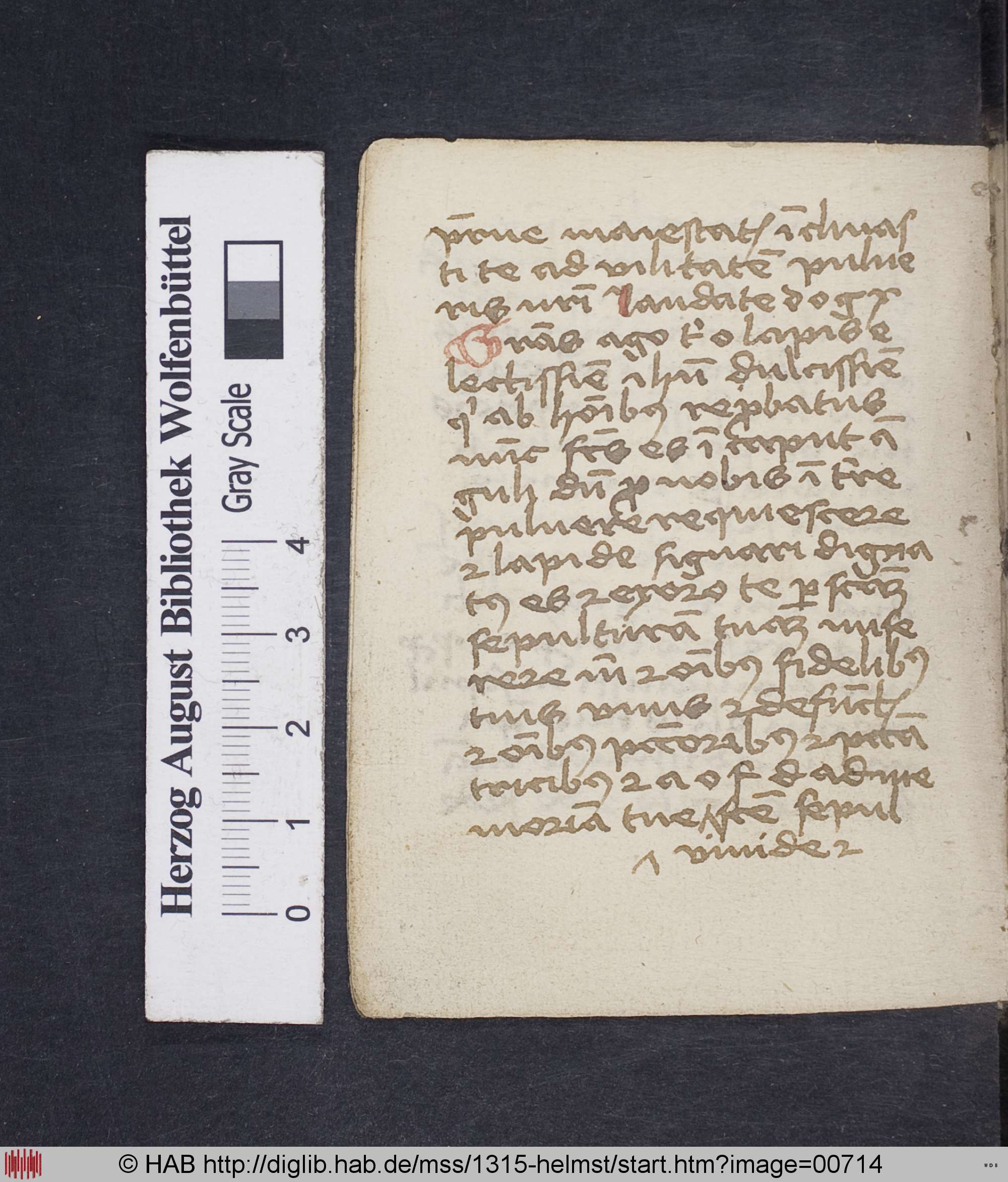http://diglib.hab.de/mss/1315-helmst/max/00714.jpg