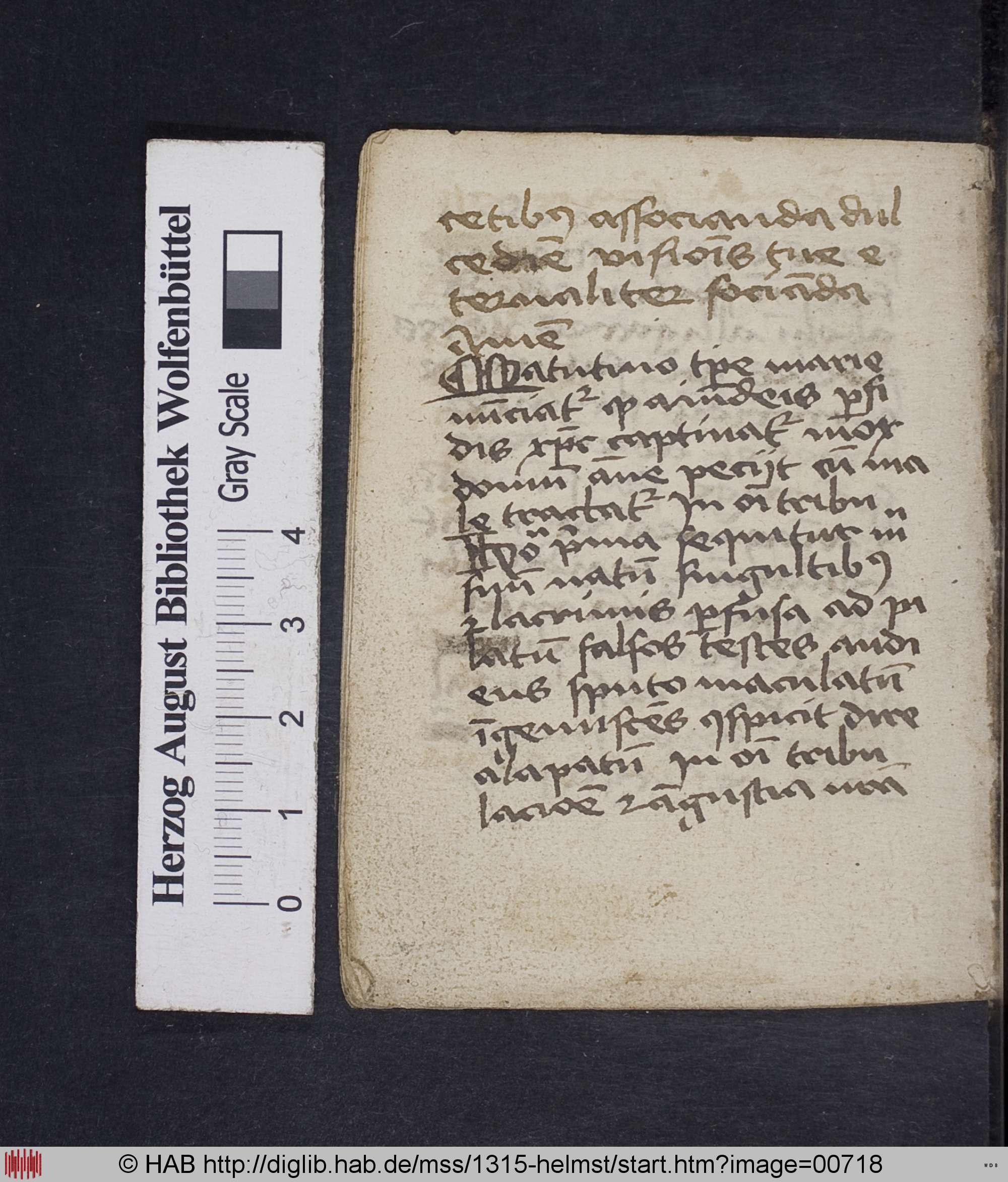 http://diglib.hab.de/mss/1315-helmst/max/00718.jpg