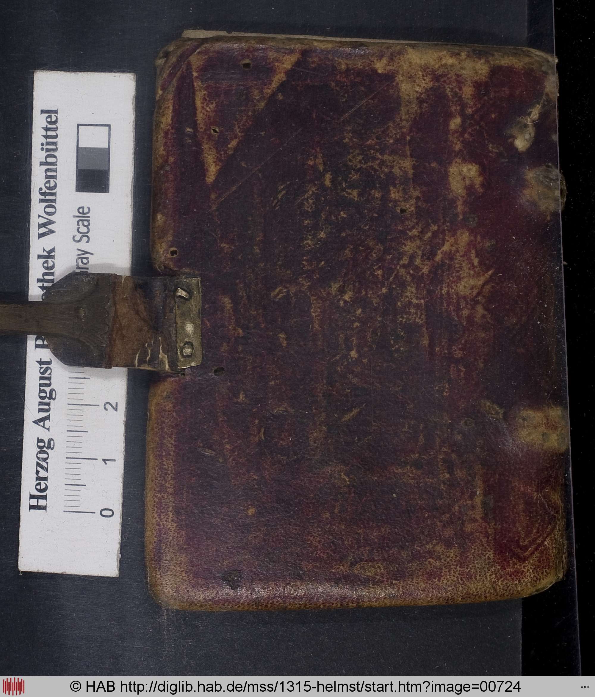 http://diglib.hab.de/mss/1315-helmst/max/00724.jpg