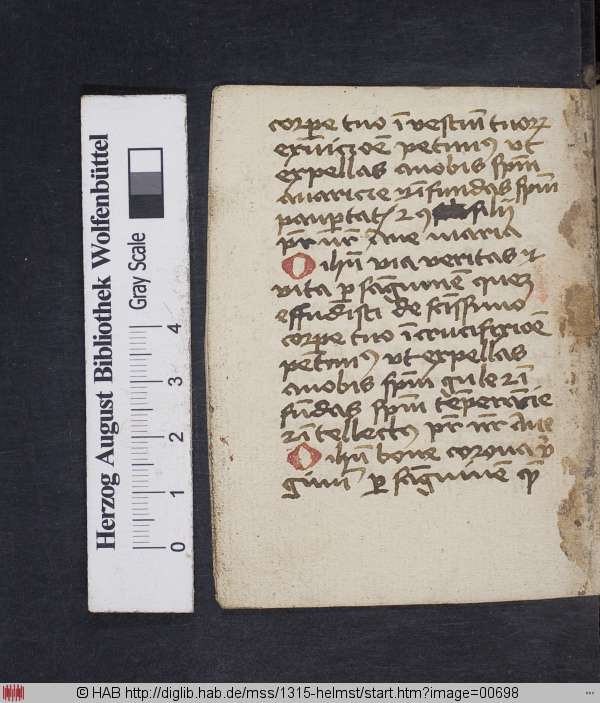 http://diglib.hab.de/mss/1315-helmst/min/00698.jpg