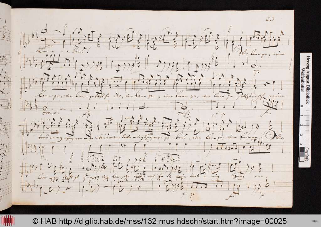 http://diglib.hab.de/mss/132-mus-hdschr/00025.jpg