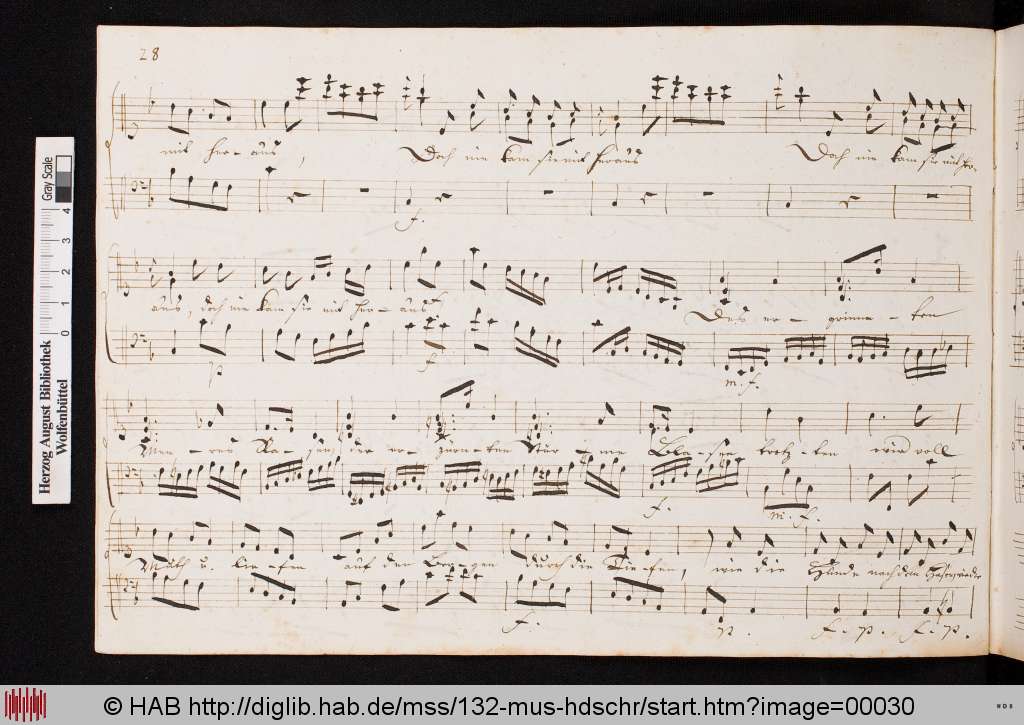 http://diglib.hab.de/mss/132-mus-hdschr/00030.jpg