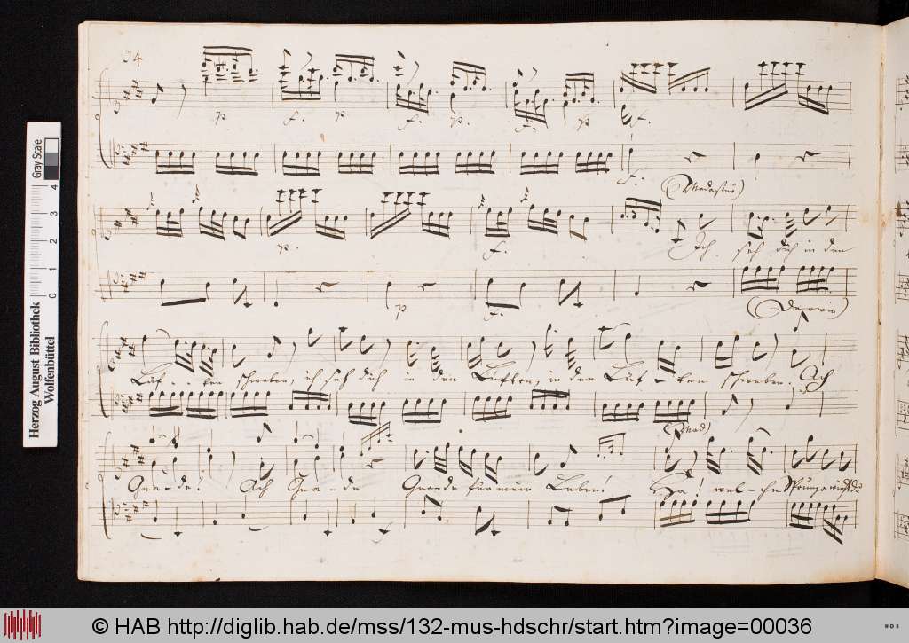 http://diglib.hab.de/mss/132-mus-hdschr/00036.jpg