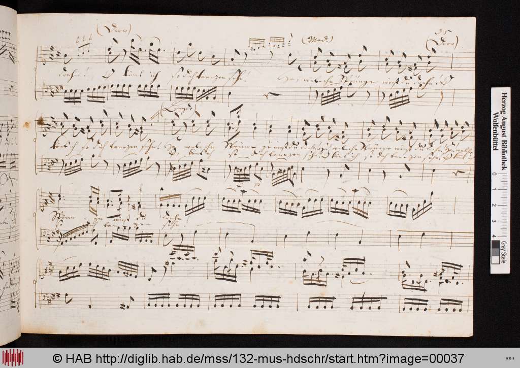http://diglib.hab.de/mss/132-mus-hdschr/00037.jpg