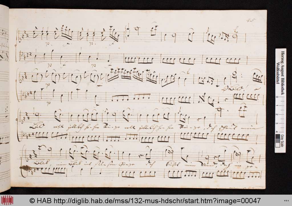 http://diglib.hab.de/mss/132-mus-hdschr/00047.jpg