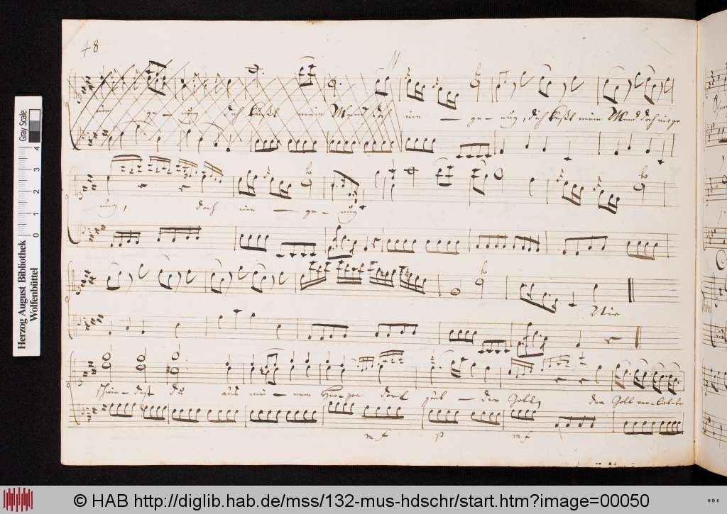 http://diglib.hab.de/mss/132-mus-hdschr/00050.jpg