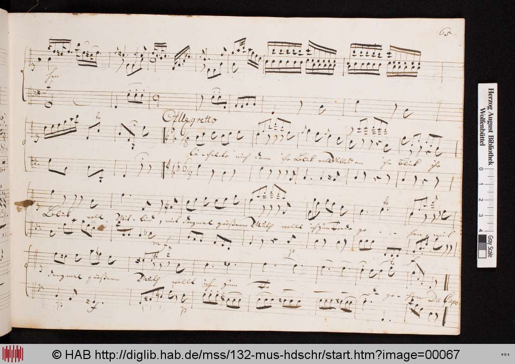 http://diglib.hab.de/mss/132-mus-hdschr/00067.jpg